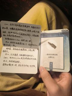 “在罪恶中回头，在枷锁中解脱”
“不是为了逃避艰难的世界，而