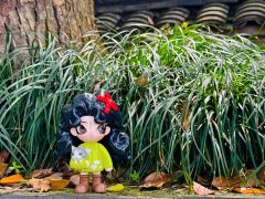 阳春二三月，草与水同色🌱
     春天的末班车！
   