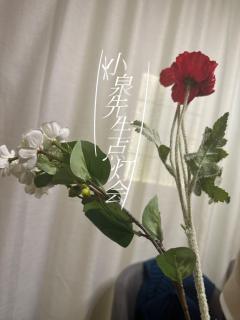 在这个光怪陆离的世界,谁是你的羁绊之人?精怪与人类的差异性,