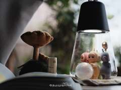 谁懂呀 真的太可爱了了
他们四个可以一起收纳再都在灯具里面耶