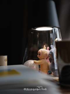 谁懂呀 真的太可爱了了
他们四个可以一起收纳再都在灯具里面耶