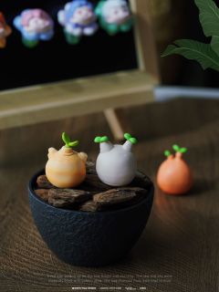 超好看的植物研究所mi粒展示收纳❗️
