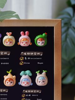 超好看的植物研究所mi粒展示收纳❗️
