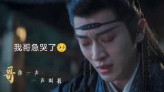 “我叫宫远徵,我重生了,上一世没帮哥争到宫家执事之位。这一次