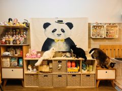 真的好喜欢闪闪这一系列，栀子星河太好看了