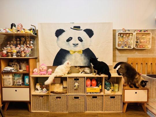 真的好喜欢闪闪这一系列，栀子星河太好看了