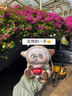 突发奇想去骑行，一个人又略显孤单，于是带上了老耙，中途又热又