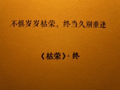 游戏时长:8小时
剧本序数:NO.544
整体观感较之《