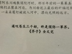 “遥叹苍生三千劫,终是须弥一草芥。”
——题记
🏷️剧