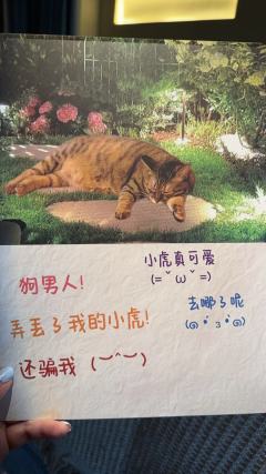 “他们突破了最后的防线……💢”
“姐夫娶我姐是为了得到我�