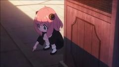 《间谍过家家代号白》无剧透评价！

我不会涉及剧情的剧透哦，