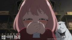 《间谍过家家代号白》无剧透评价！

我不会涉及剧情的剧透哦，