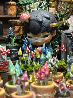 这是我第一个盲盒，因为有蘑菇，小野寄生，然后会有第二个，第三