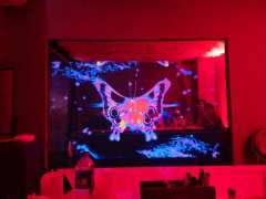 “原来您心中的爱不止于此啊……”
📖本名:《此时彼刻之