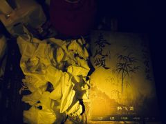 【飞鸢 X 蒙昭 含轻微剧透】
店家：成都惊鸿探案馆
角色：