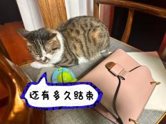 【含剧透】
剧本:止欠东风
人数:5男2女
体验角色:甘宁
