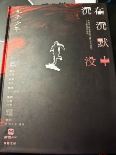 我们一生都在朝着太阳奔跑,
直到在沉默中沉没,
才看清那是末