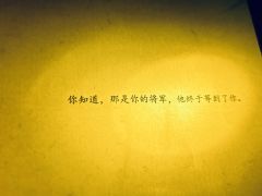 【飞鸢 X 蒙昭 含轻微剧透】
店家：成都惊鸿探案馆
角色：