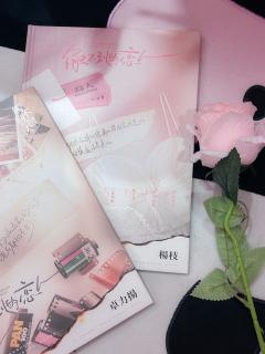 【触不到的恋人】测评-最佳女主角写的
极速版:一对双向,