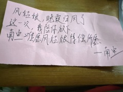 【含剧透】
“公子,晚霞归风了”
剧本名称:苍兰决
剧本类型